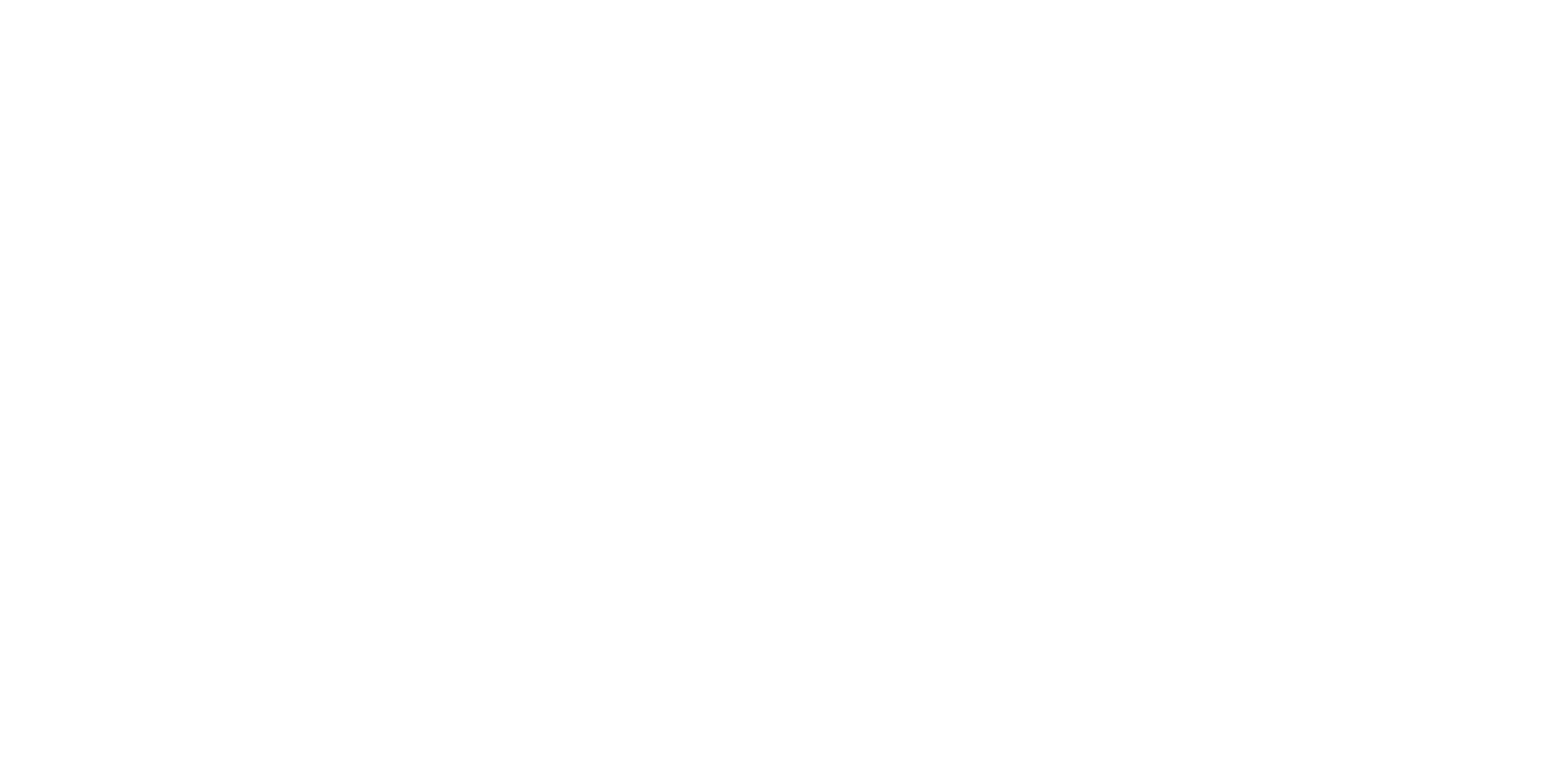 Ammann