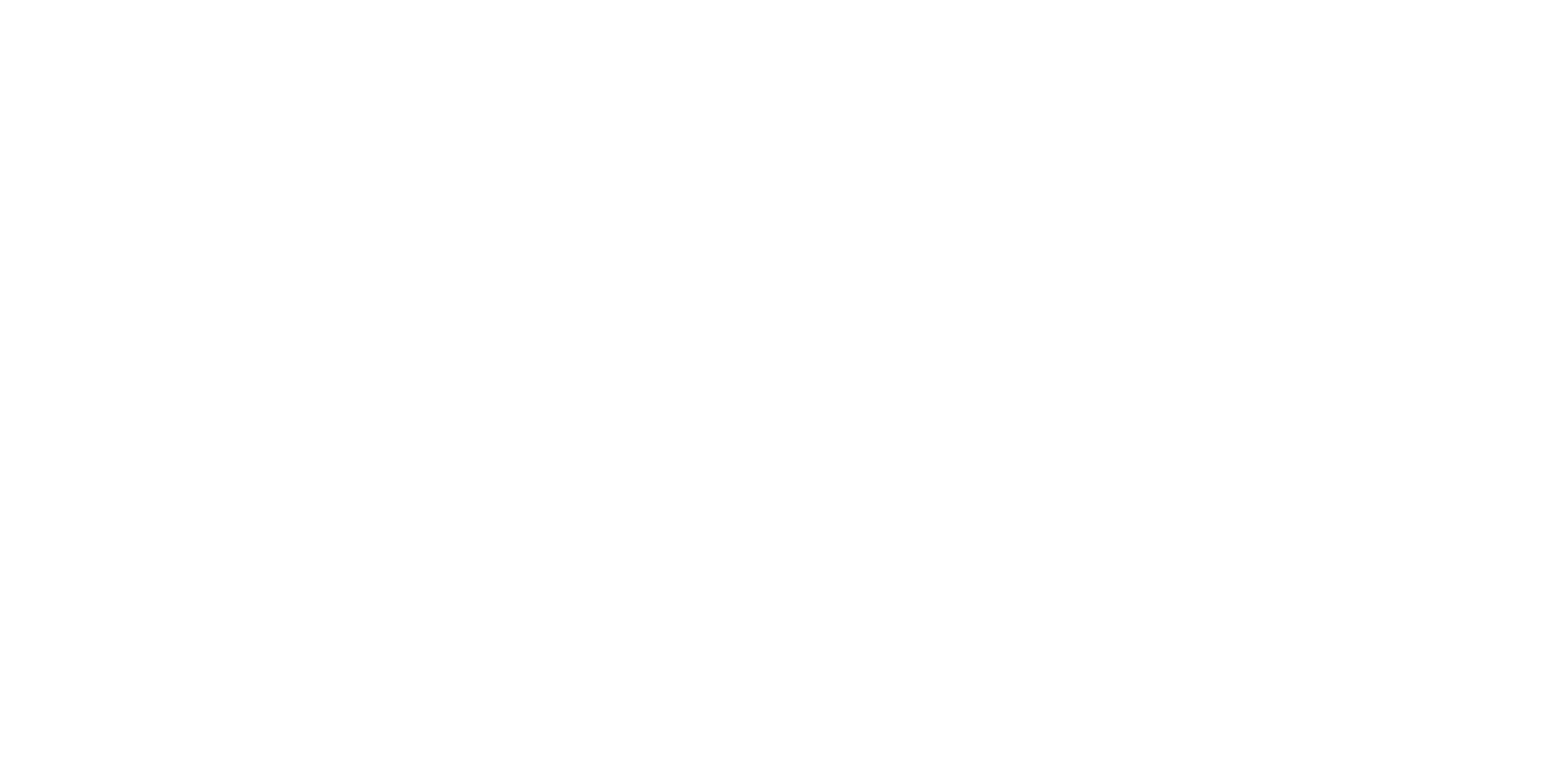 Logo Ammann