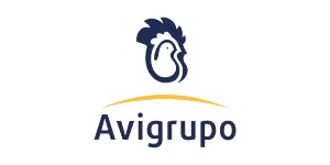 Avigrupo